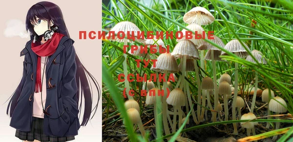 меф Пестово