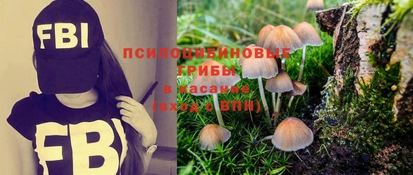 меф Пестово