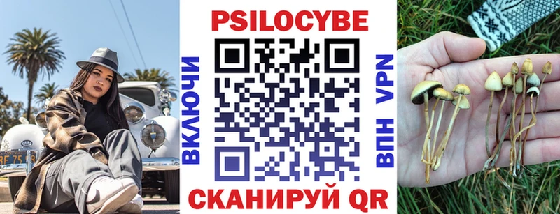 Галлюциногенные грибы мухоморы  omg вход  darknet Telegram  купить  цена  Палласовка 